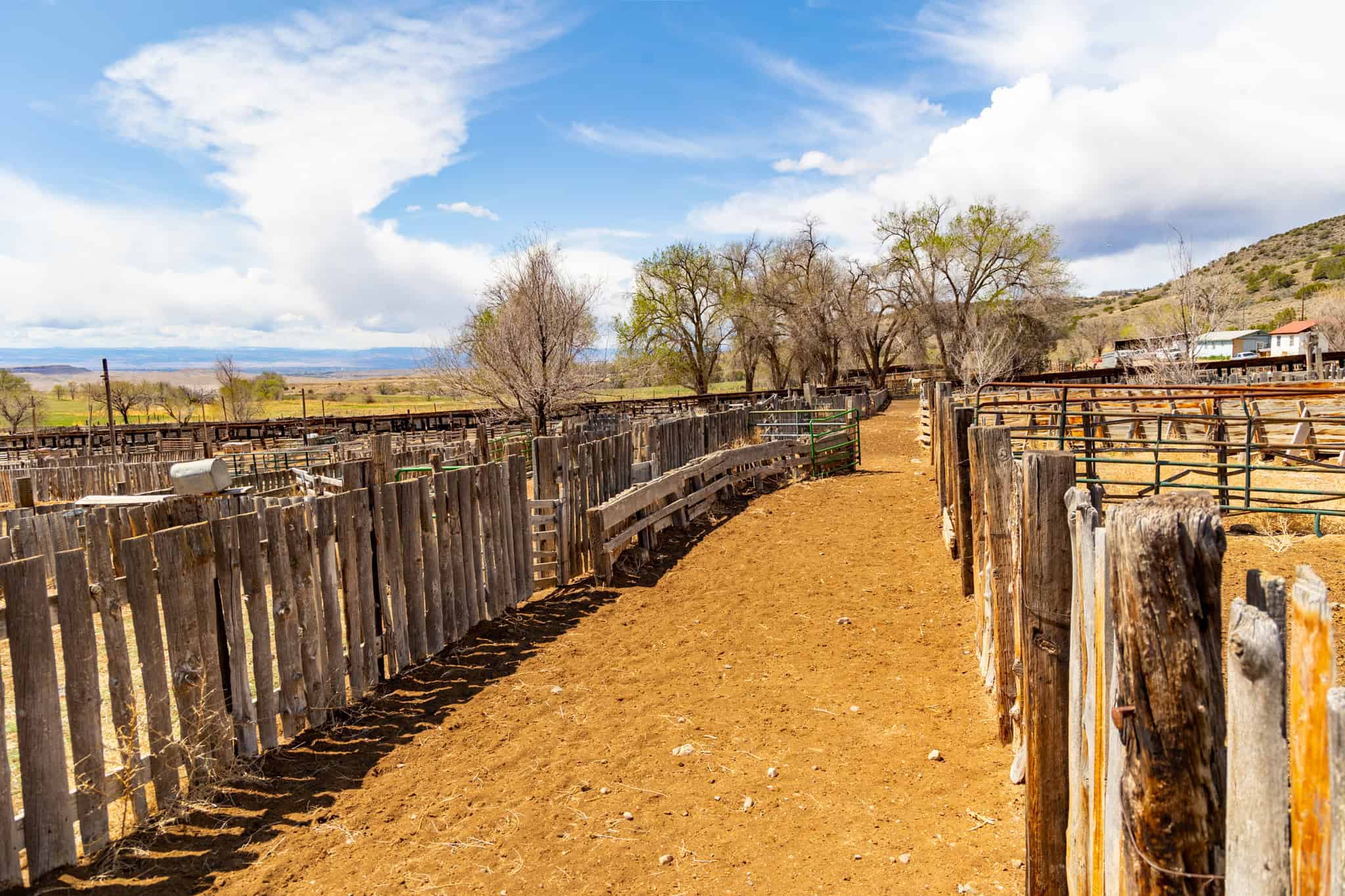 Premier Colorado Property – Shamrock Ranch – Hotchkiss, CO