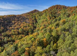 Private Hunter’s Paradise Near Lynchburg with Generator Power