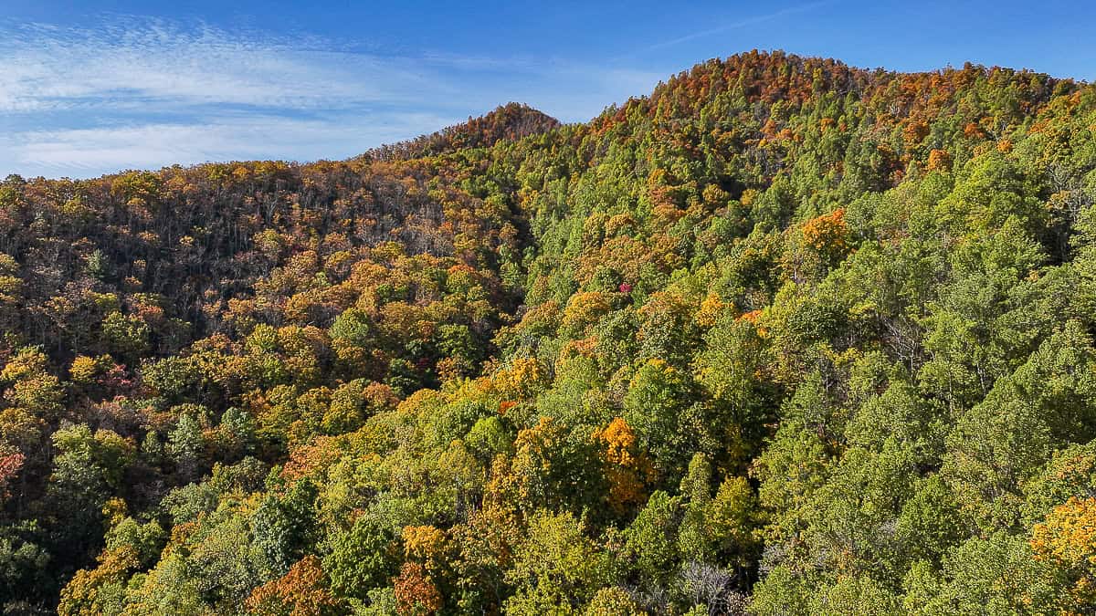 Private Hunter’s Paradise Near Lynchburg with Generator Power