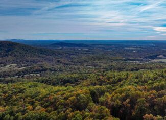Private Hunter’s Paradise Near Lynchburg with Generator Power