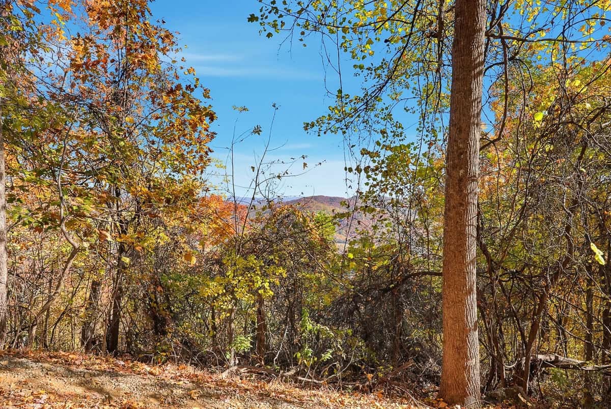 Private Hunter’s Paradise Near Lynchburg with Generator Power