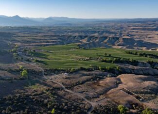 Premier Colorado Property – Shamrock Ranch – Hotchkiss, CO