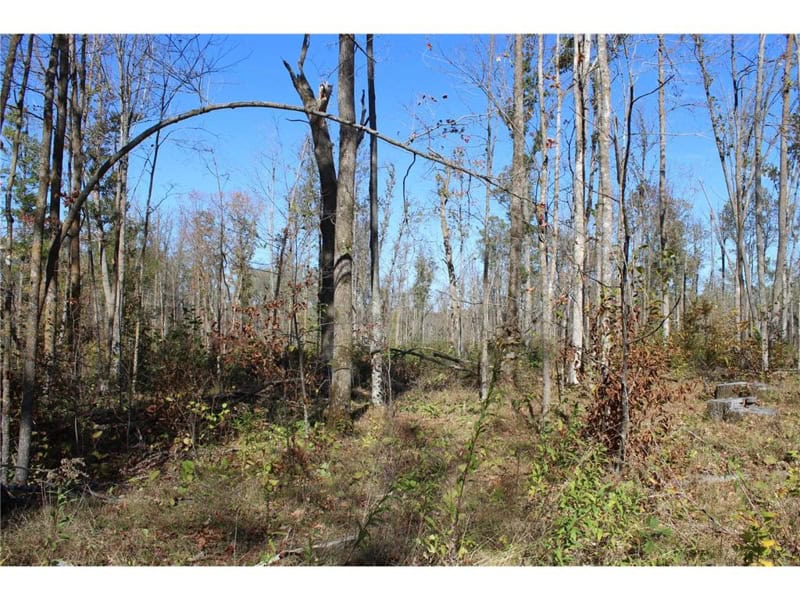 Northwoods Paradise w/ Trails & Ponds For Sale in Isle, MN