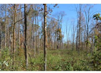 Northwoods Paradise w/ Trails & Ponds For Sale in Isle, MN