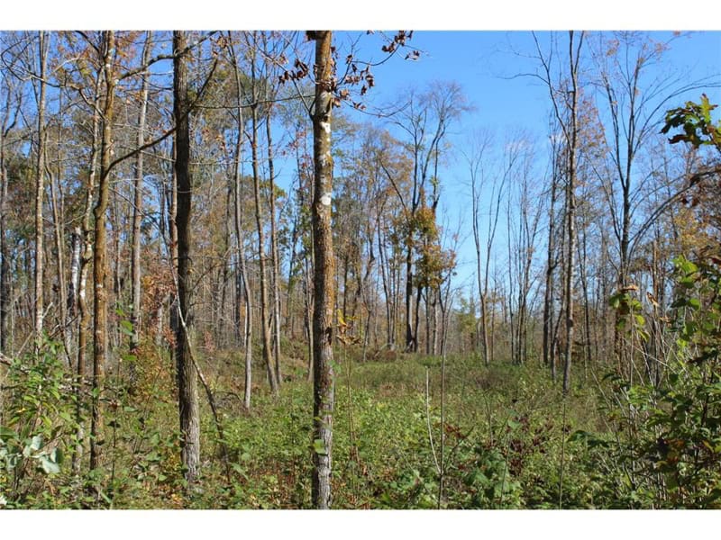 Northwoods Paradise w/ Trails & Ponds For Sale in Isle, MN