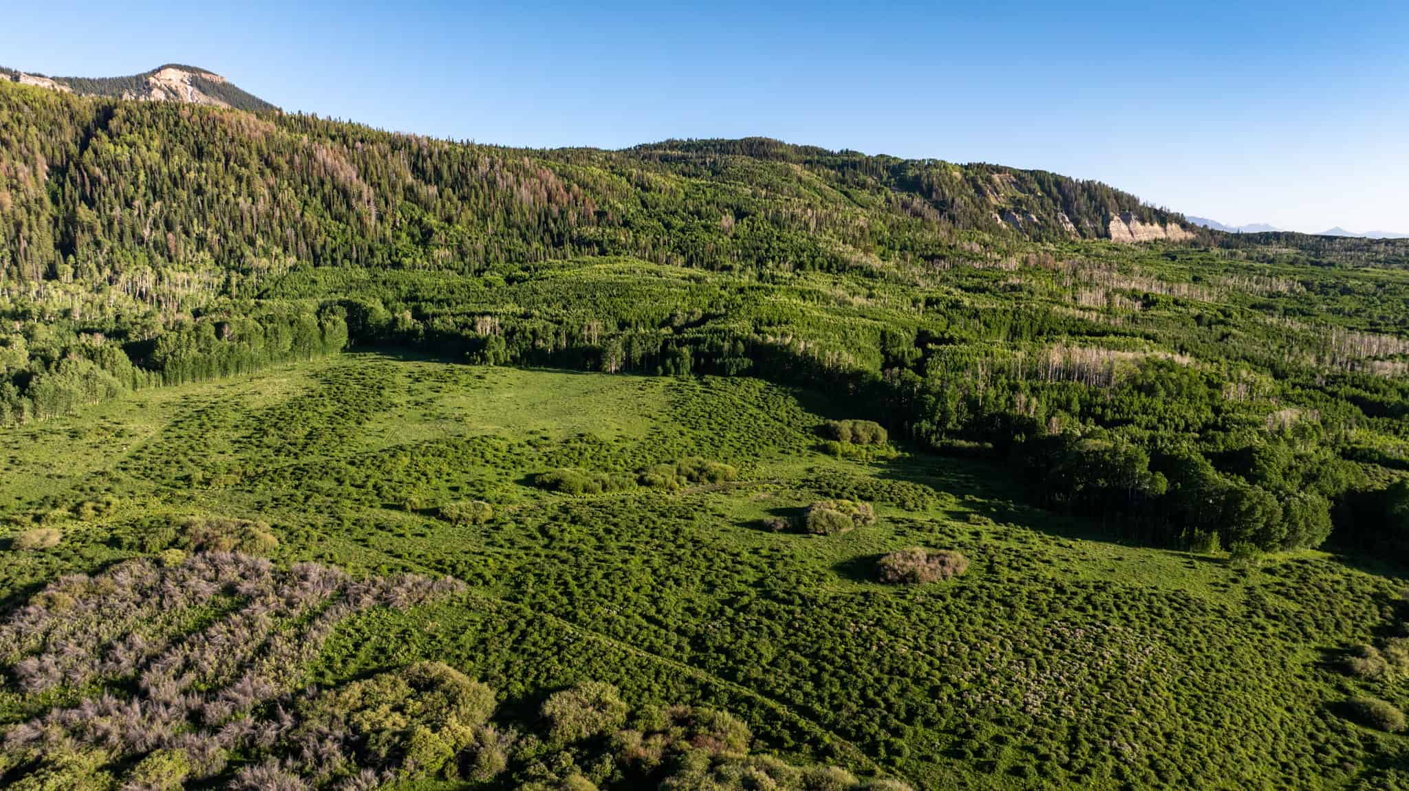 Buckhorn Lakes Ranch Investor Offering – 449± Acres of Premium Mountain Terrain for Sale