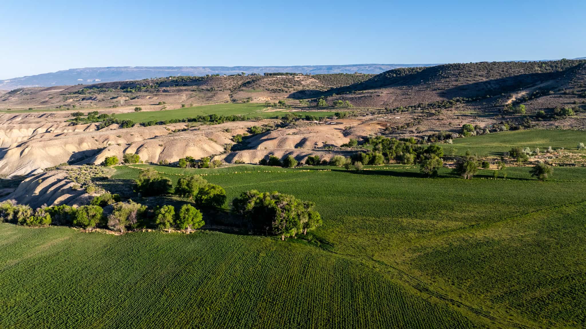 Premier Colorado Property – Shamrock Ranch – Hotchkiss, CO