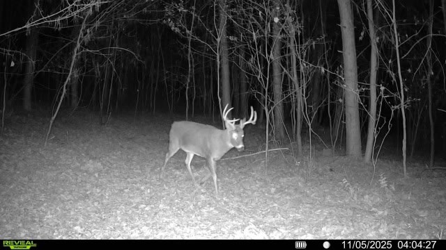 118± Acre Portage County WI Ag and Hunting Property