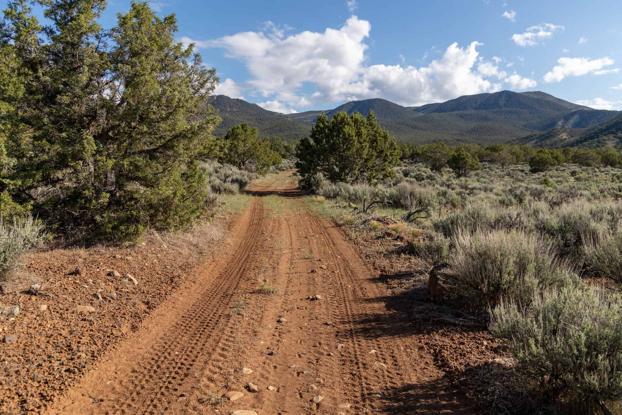 500 Acres Adjacent to BLM – A Secluded Western Colorado Mountain Estate with Water, Views, Wildlife & Unmatched Privacy