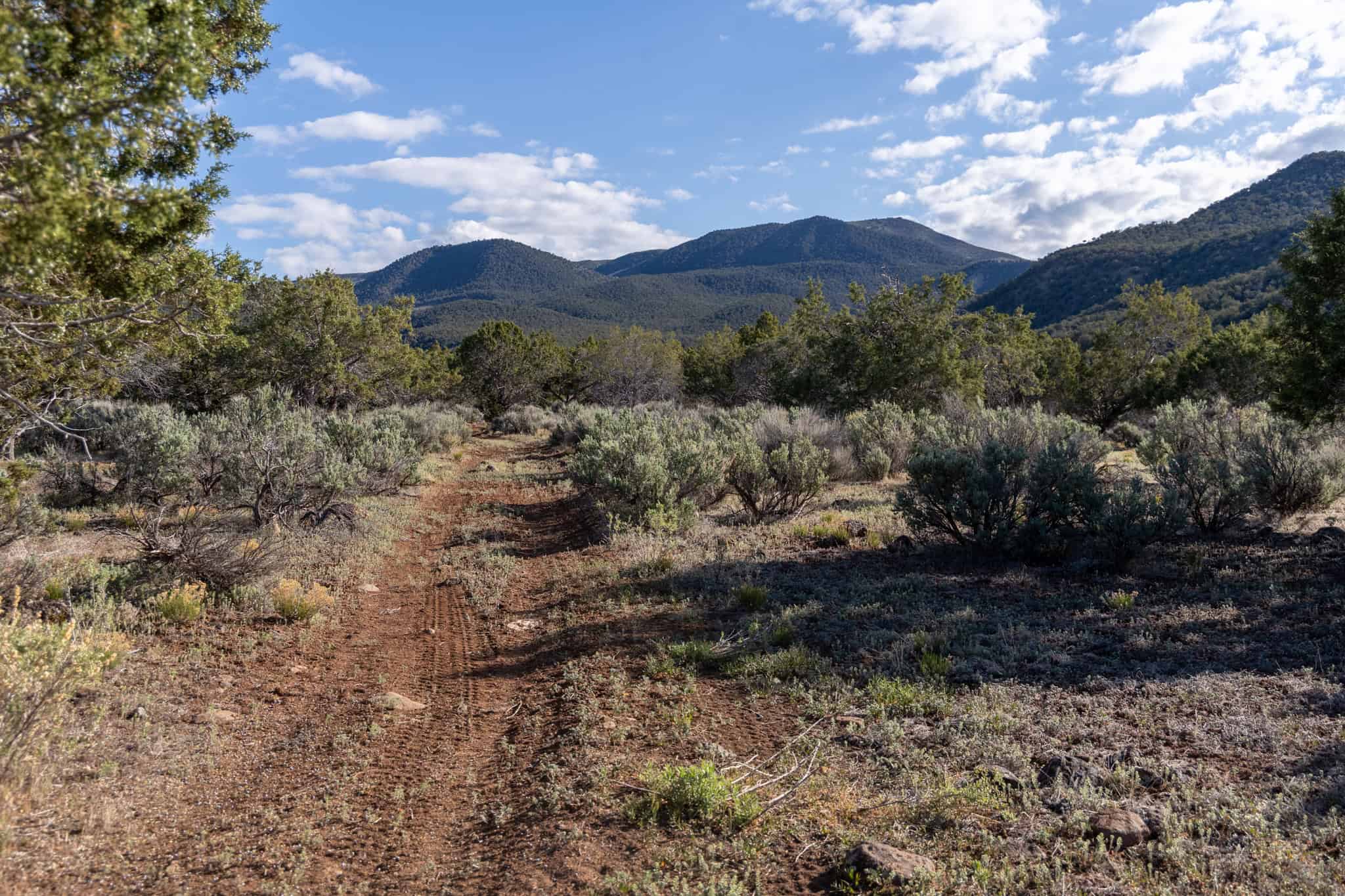 500 Acres Adjacent to BLM – A Secluded Western Colorado Mountain Estate with Water, Views, Wildlife & Unmatched Privacy