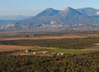 Country Home on Land For Sale in Crawford, CO