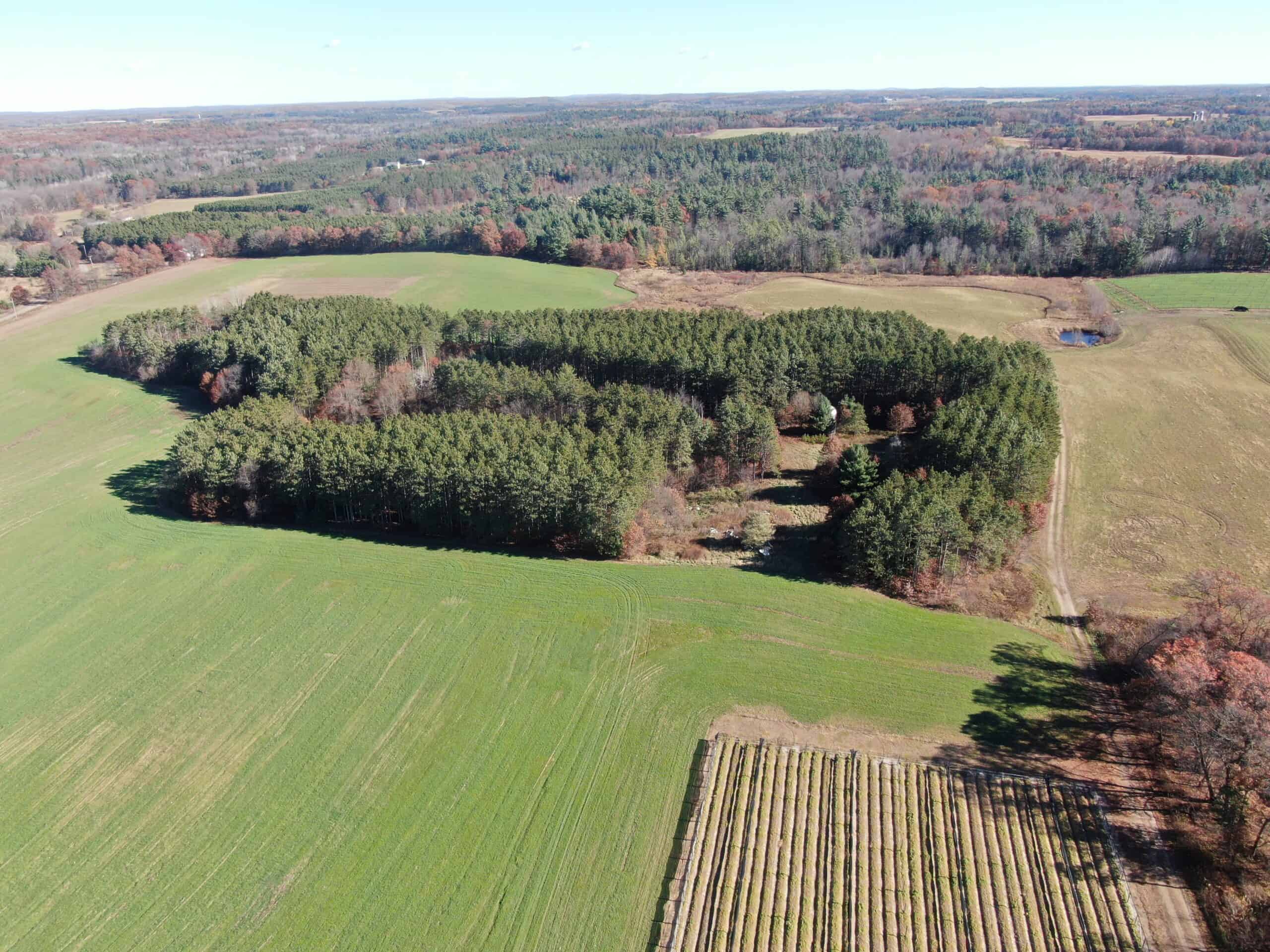 118± Acre Portage County WI Ag and Hunting Property