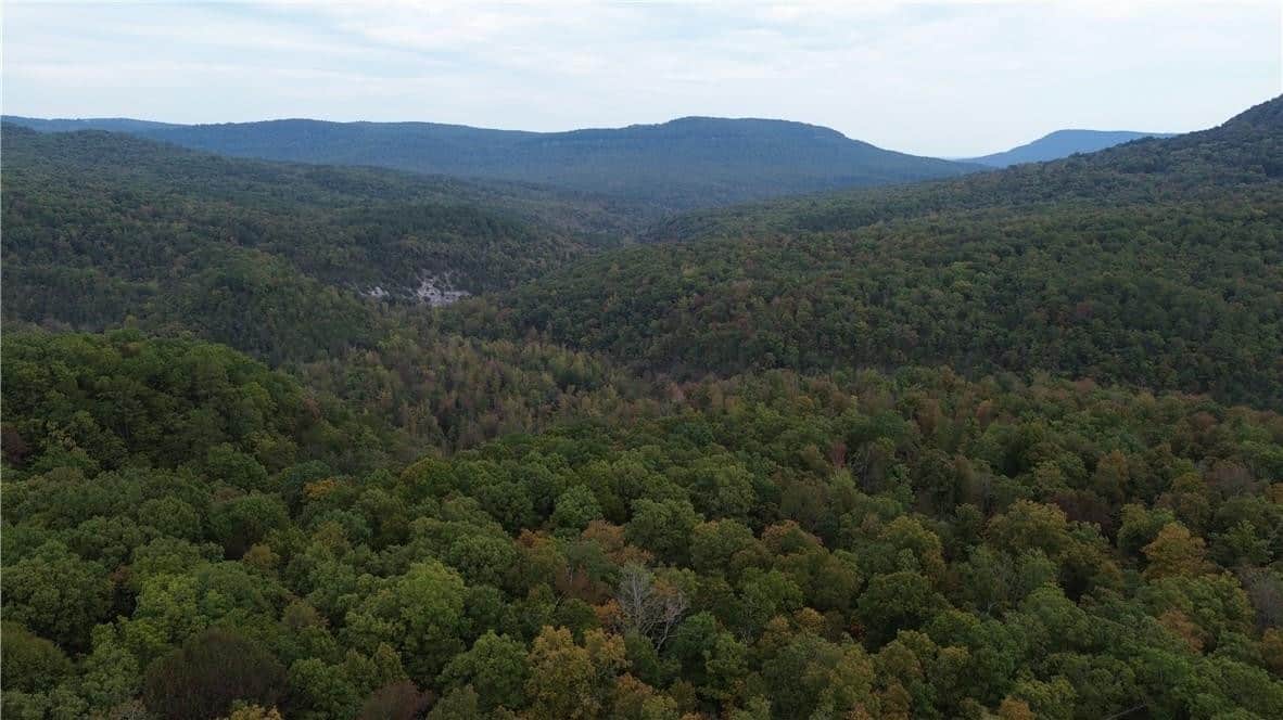 20 Acres Newton County Hunting Timberland For Sale Near Low Gap