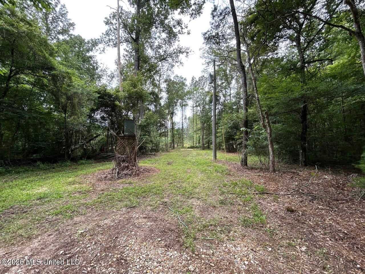 113± Acres for Sale in Osyka, MS on Tickfaw River