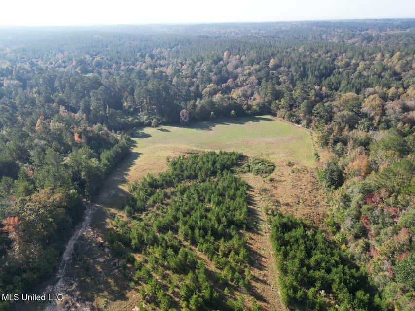 Hunting Land for Sale in Amite County, Mississippi