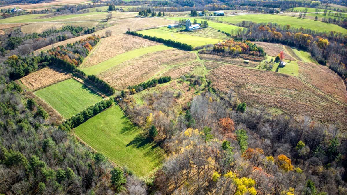Windy Ridge – Conservation Homestead – 187 ± Acres in Monroe County’s Driftless Area of Wisconsin