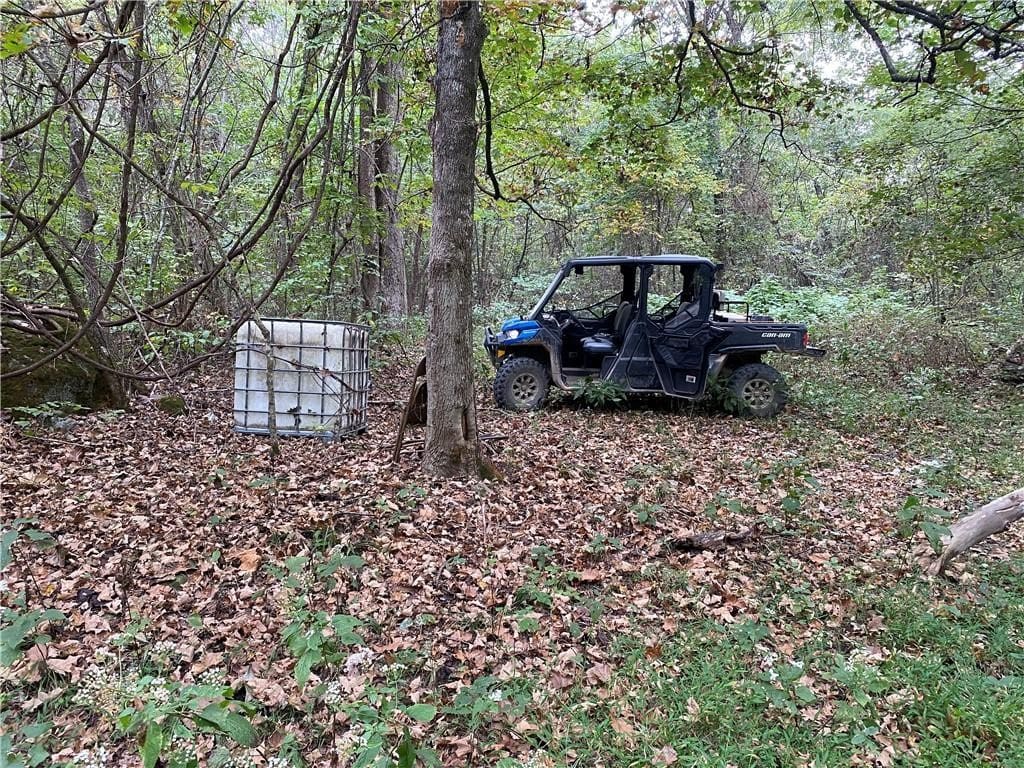 39.75 Newton County Hunting Land/Timber Property For Sale Low Gap