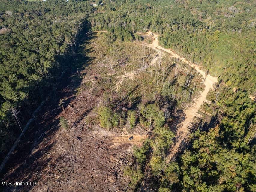 113 Acres of Hunting Land in Liberty, Mississippi