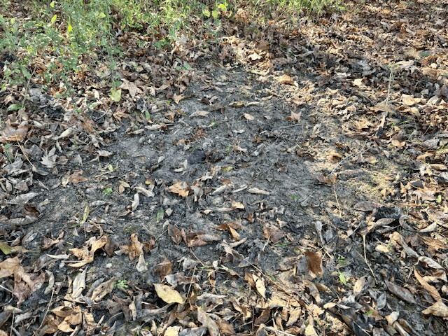 76 Acres For Sale Clay County MS