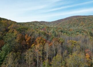 Blackwells Hollow: Your Albemarle County Mountain Retreat – The Ultimate Hunting and Recreation Sanctuary