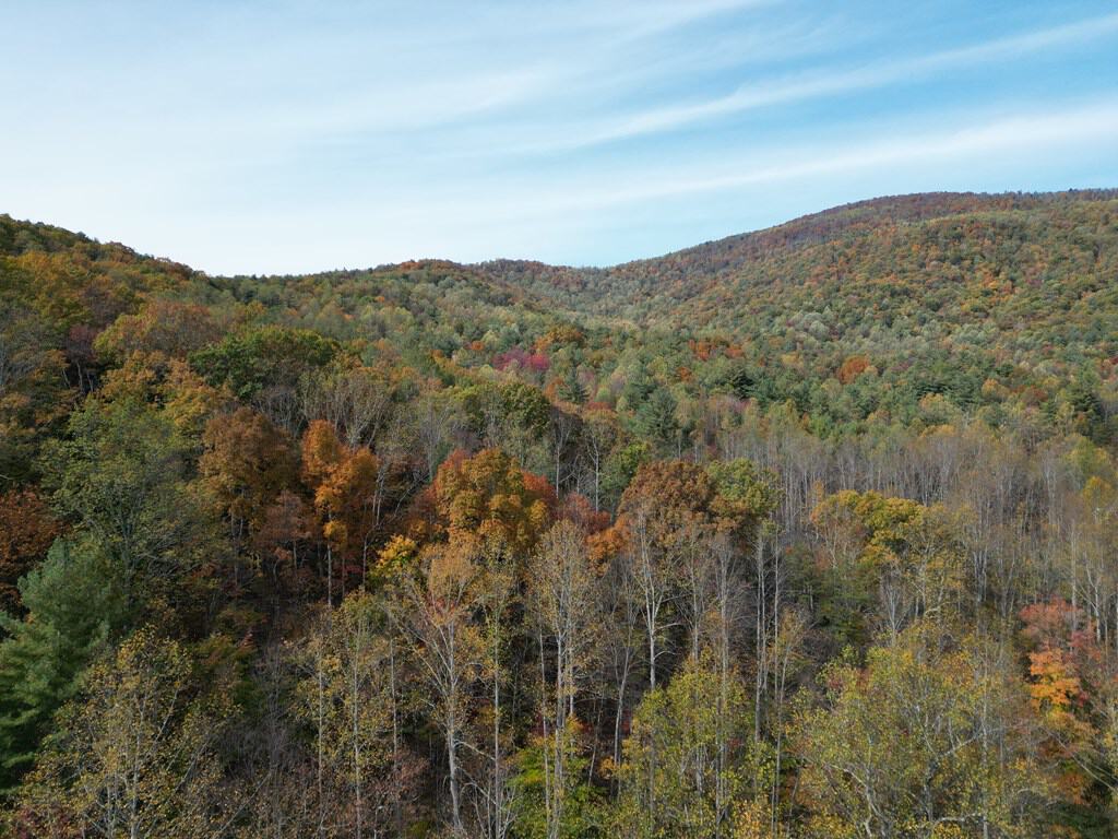 Blackwells Hollow: Your Albemarle County Mountain Retreat – The Ultimate Hunting and Recreation Sanctuary
