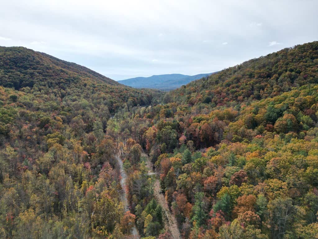 Blackwells Hollow: Your Albemarle County Mountain Retreat – The Ultimate Hunting and Recreation Sanctuary