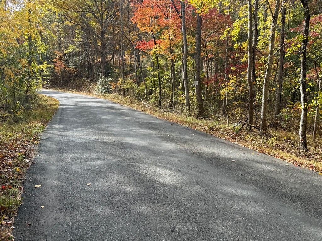Blackwells Hollow: Your Albemarle County Mountain Retreat – The Ultimate Hunting and Recreation Sanctuary