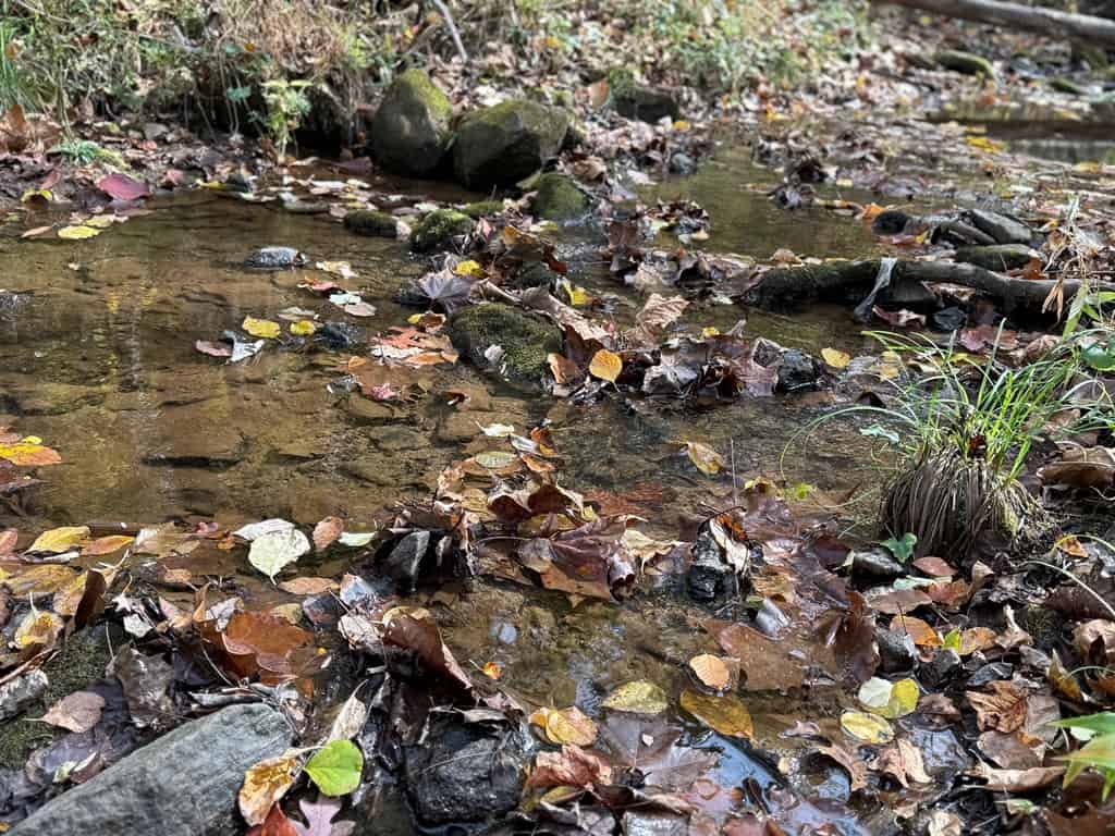 Blackwells Hollow: Your Albemarle County Mountain Retreat – The Ultimate Hunting and Recreation Sanctuary