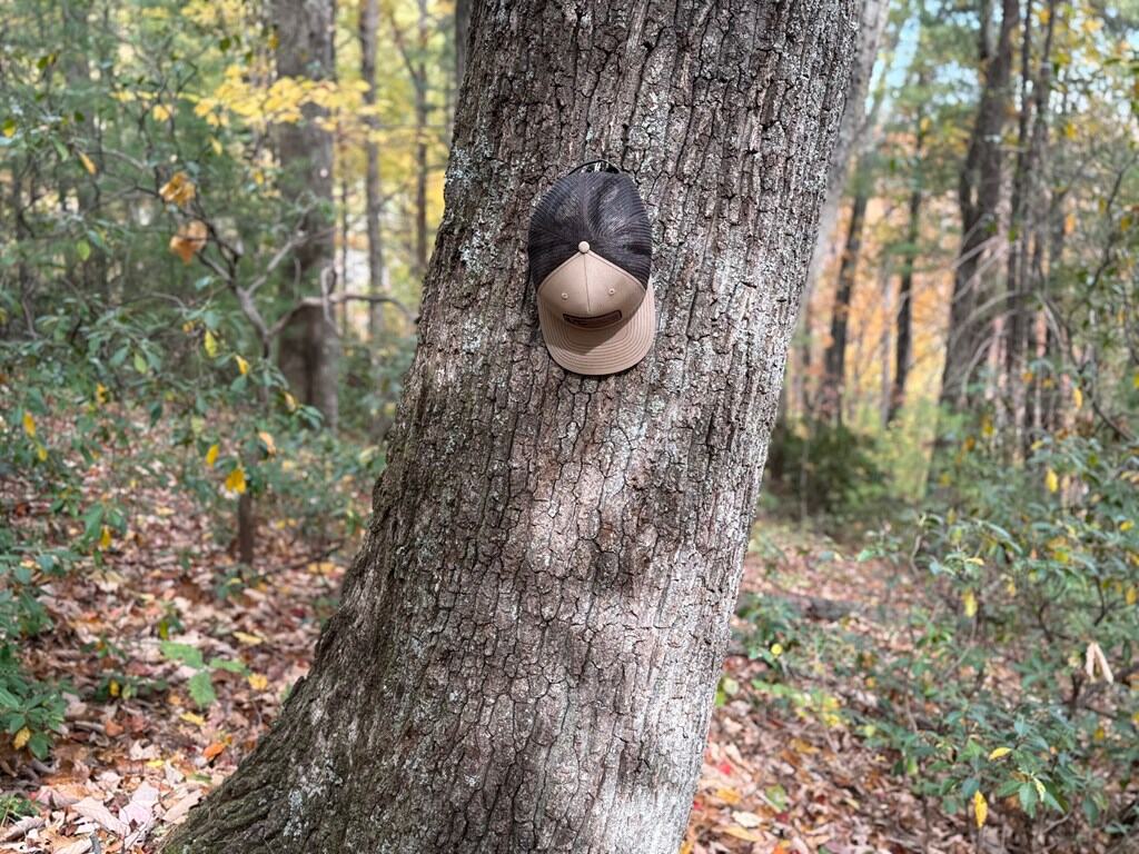 Blackwells Hollow: Your Albemarle County Mountain Retreat – The Ultimate Hunting and Recreation Sanctuary