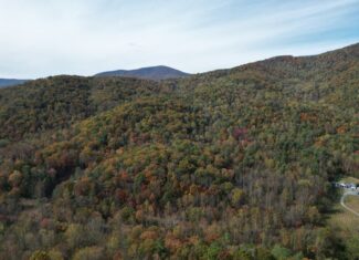 Blackwells Hollow: Your Albemarle County Mountain Retreat – The Ultimate Hunting and Recreation Sanctuary