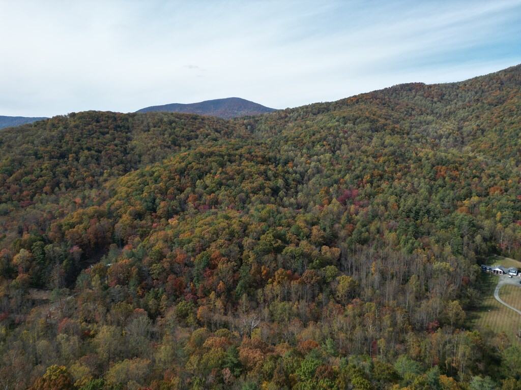 Blackwells Hollow: Your Albemarle County Mountain Retreat – The Ultimate Hunting and Recreation Sanctuary
