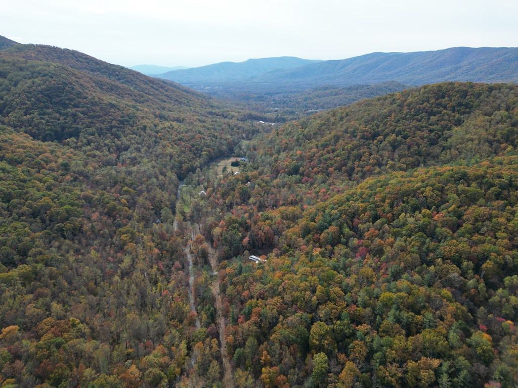 Blackwells Hollow: Your Albemarle County Mountain Retreat – The Ultimate Hunting and Recreation Sanctuary