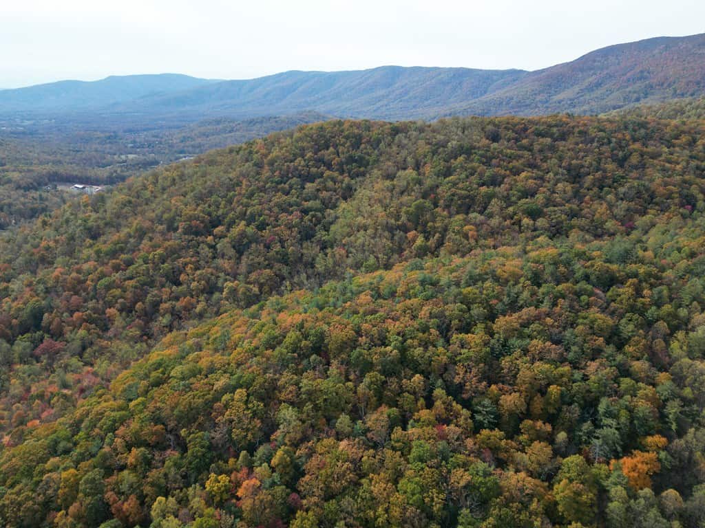 Blackwells Hollow: Your Albemarle County Mountain Retreat – The Ultimate Hunting and Recreation Sanctuary