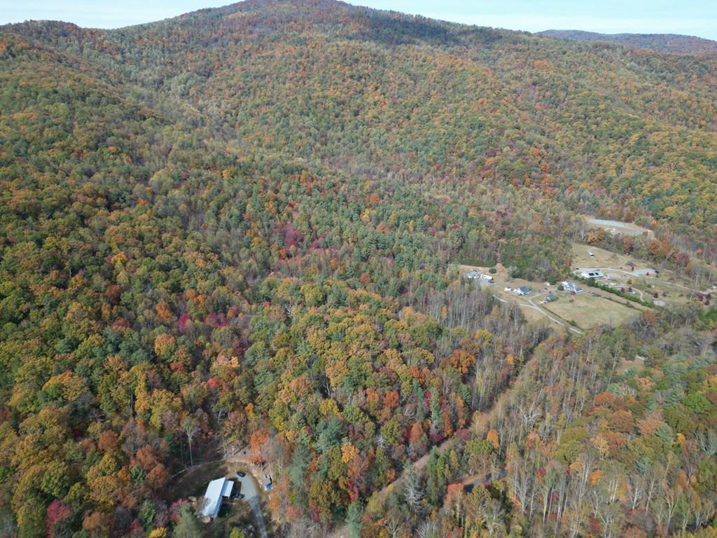 Blackwells Hollow: Your Albemarle County Mountain Retreat – The Ultimate Hunting and Recreation Sanctuary