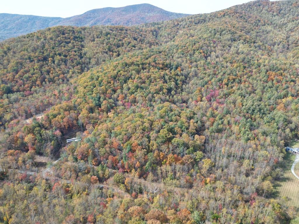 Blackwells Hollow: Your Albemarle County Mountain Retreat – The Ultimate Hunting and Recreation Sanctuary