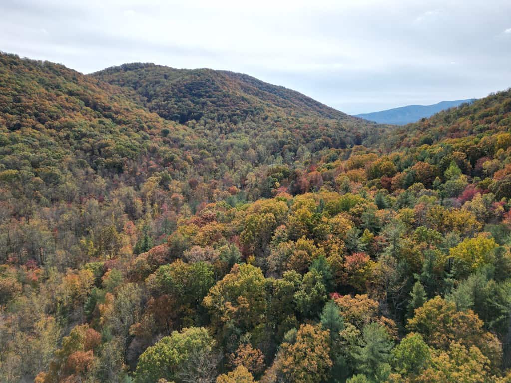 Blackwells Hollow: Your Albemarle County Mountain Retreat – The Ultimate Hunting and Recreation Sanctuary