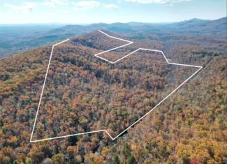 Premier Hunting & Timber Investment with Easy Access & Trails