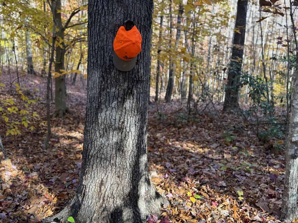 Premier Hunting & Timber Investment with Easy Access & Trails