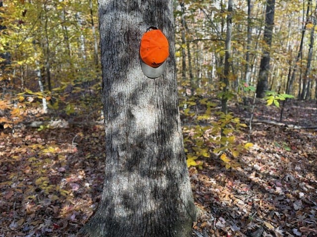 Premier Hunting & Timber Investment with Easy Access & Trails