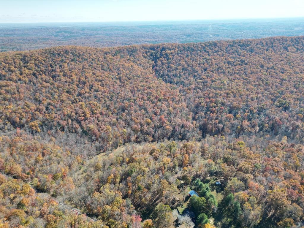 Premier Hunting & Timber Investment with Easy Access & Trails