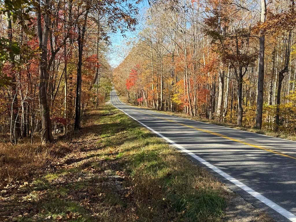 Premier Hunting & Timber Investment with Easy Access & Trails