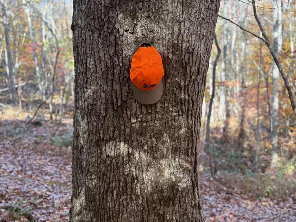 Premier Hunting & Timber Investment with Easy Access & Trails