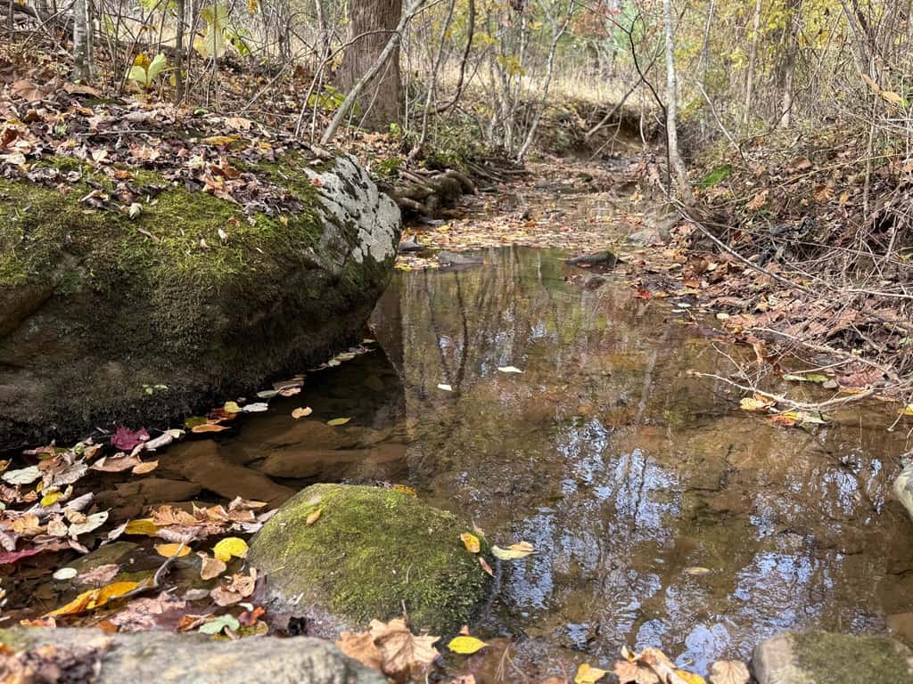 Blackwells Hollow: Your Albemarle County Mountain Retreat – The Ultimate Hunting and Recreation Sanctuary