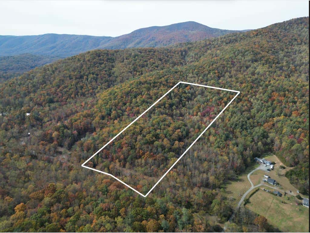 Blackwells Hollow: Your Albemarle County Mountain Retreat – The Ultimate Hunting and Recreation Sanctuary