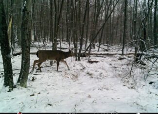 Catskills Hunting and Fishing Land For Sale in New York