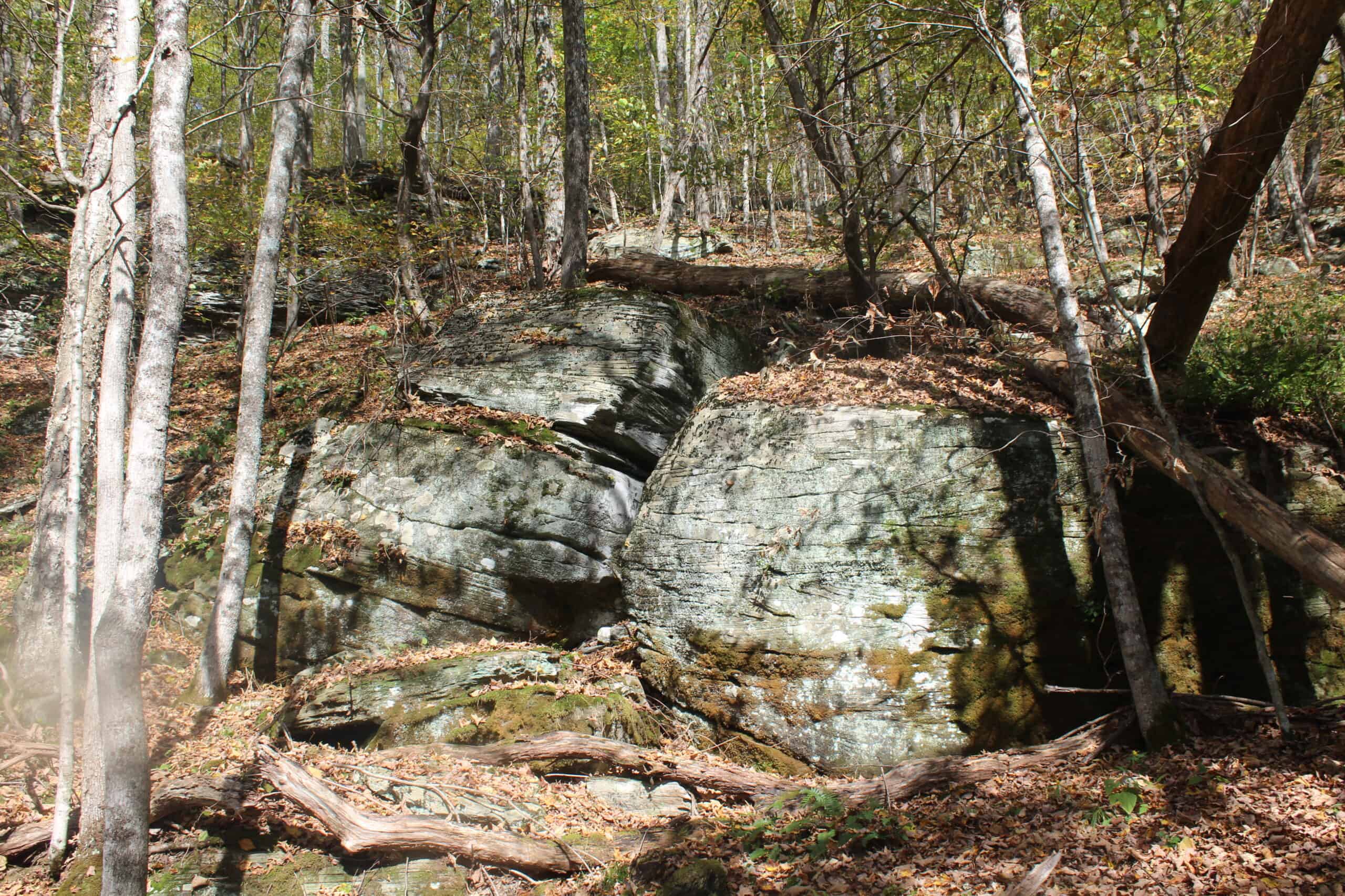 Catskills Hunting and Fishing Land For Sale in New York