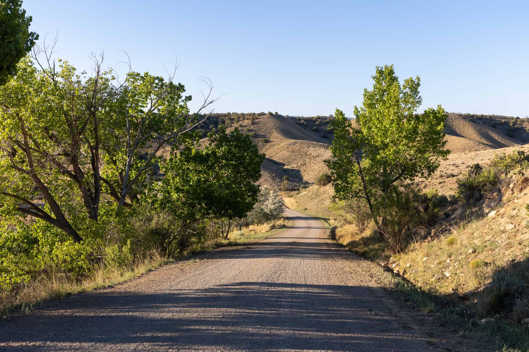 Premier Colorado Property – Shamrock Ranch – Hotchkiss, CO