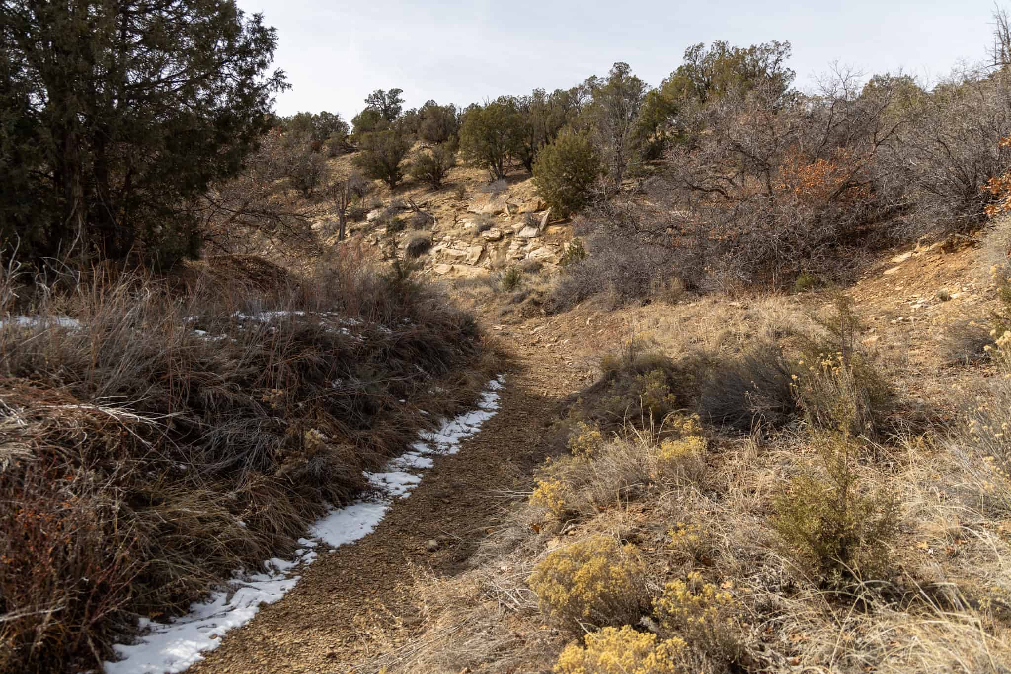 278± Acre Horsefly Ranch