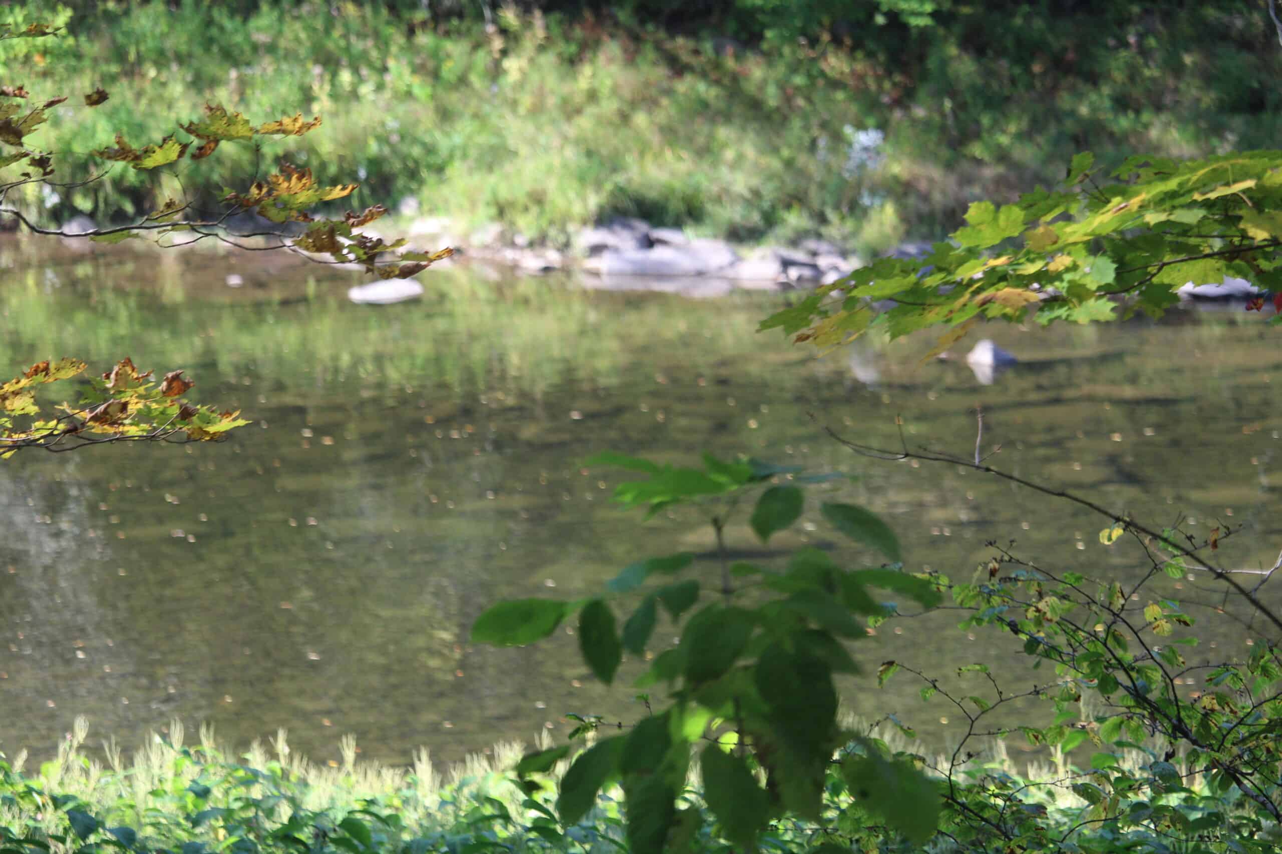 Catskills Hunting and Fishing Land For Sale in New York