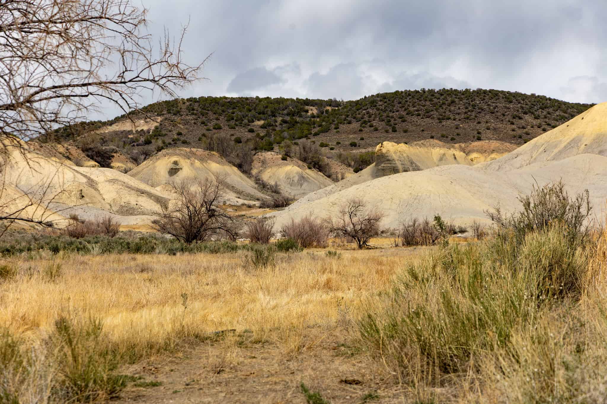 Premier Colorado Property – Shamrock Ranch – Hotchkiss, CO